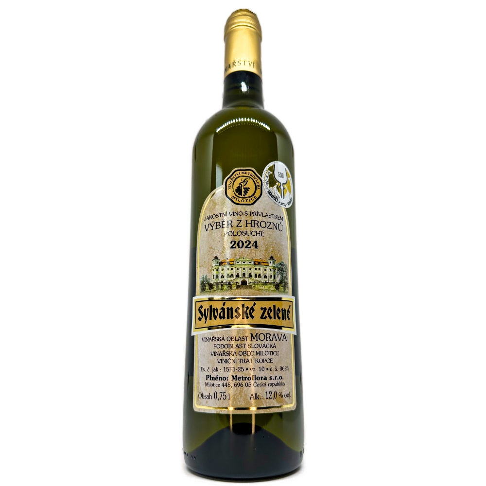 Sylvánské zelené 2024 výběr z hroznů